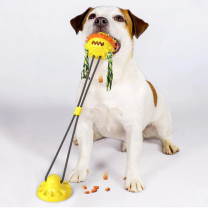 Interactive Self-Playing Pet Toy - Durable Dog Toy with Chew Bars and Rolling Balls for All Sizes, Promotes Dental Health 5
