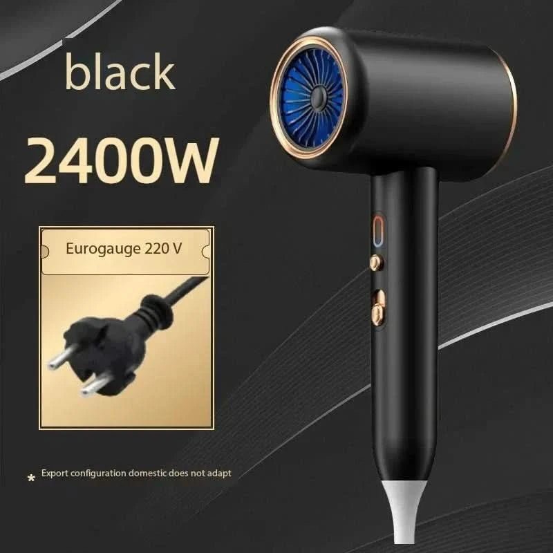 IonGlow | Powerful Elegant 2400W Hair Dryer for All Hair Types 3