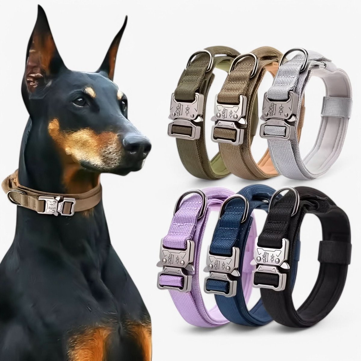 K9Guard | Durable Adjustable Dog Collar Set for Training & Daily Use 2