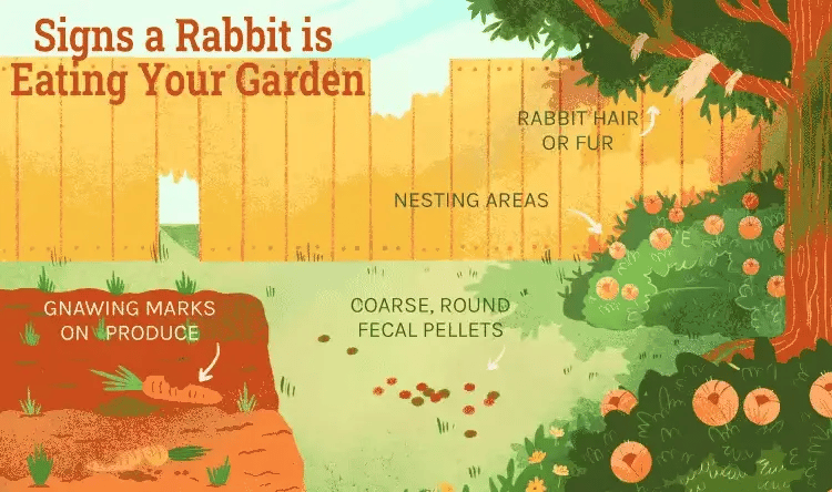 Outdoor Solar Rabbit Repellent With Flashing LED Light