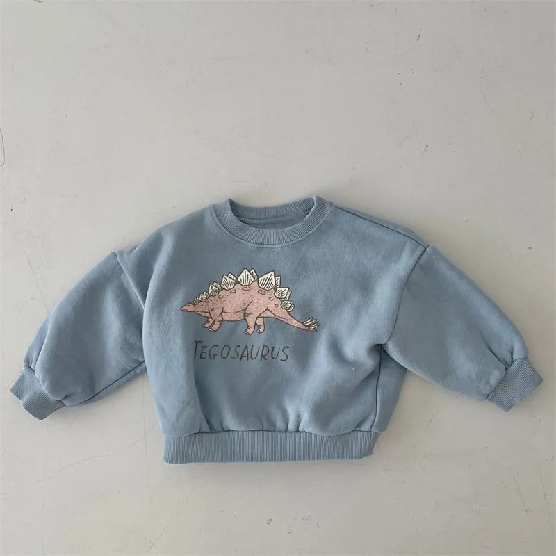Kinderen Sweater Leuke Dinosaurusprint 100% Katoen Groene Kleur 4
