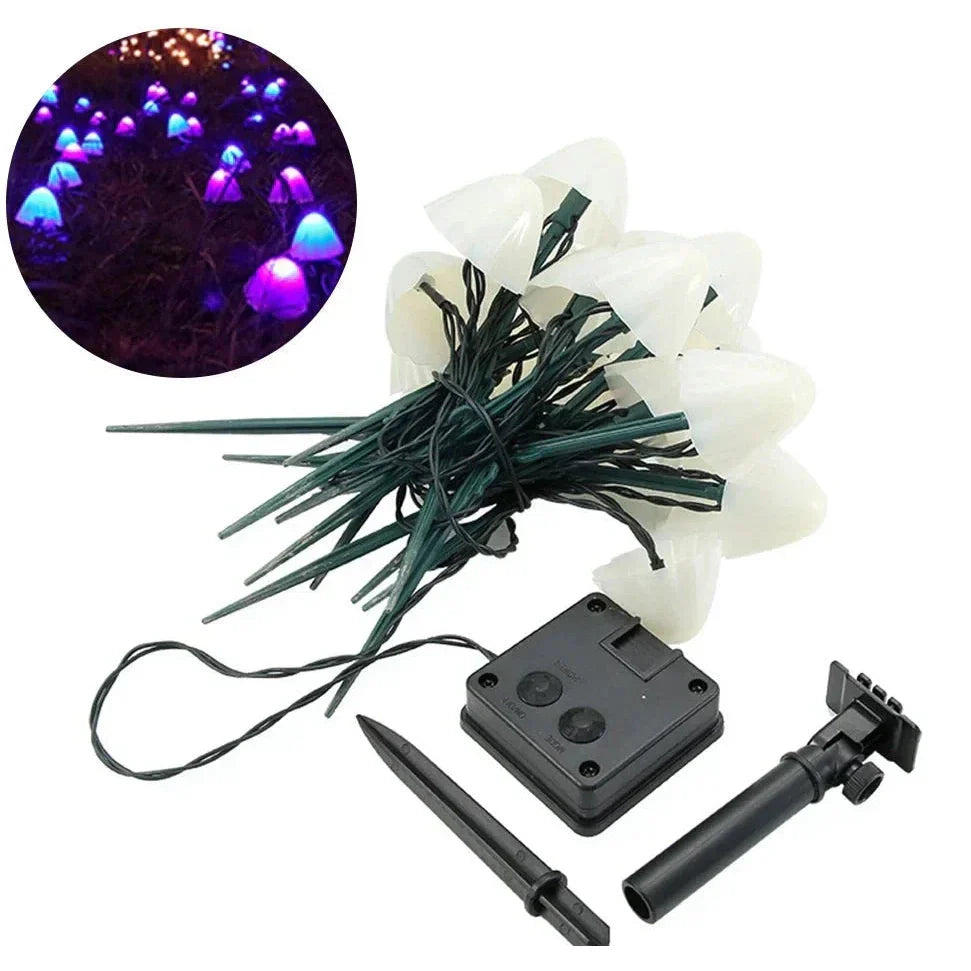 Bright Solar Fairy Outdoor String Lights
