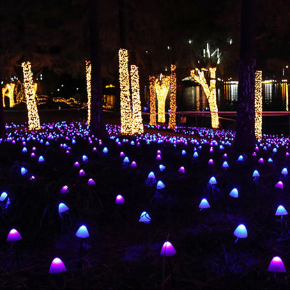 Bright Solar Fairy Outdoor String Lights