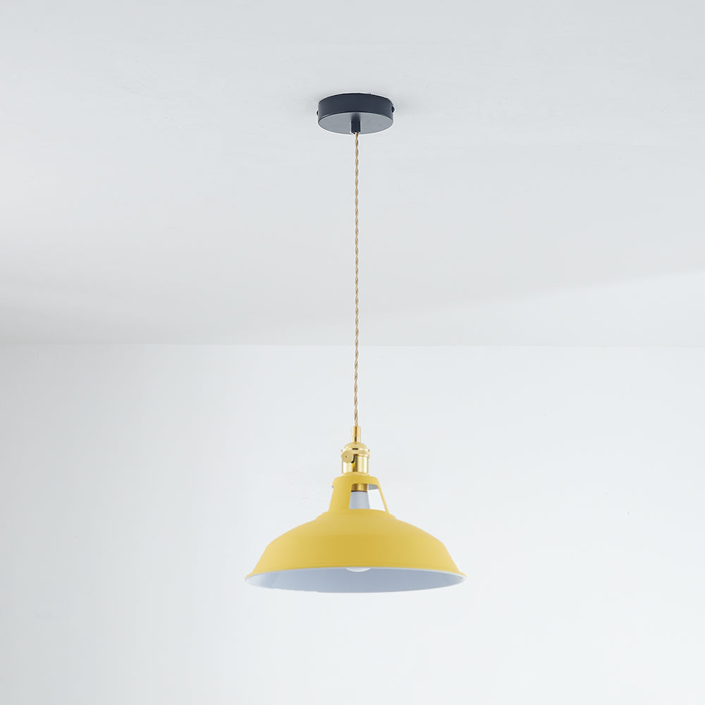 Vibrant Color Metal Drop Pendant Light Fixture