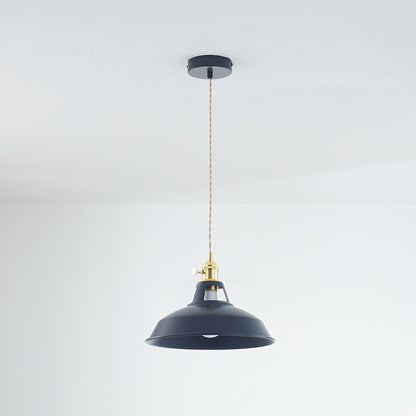 Vibrant Color Metal Drop Pendant Light Fixture