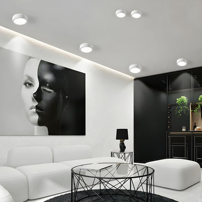 Modern Minimalist Overhead Light Fixture