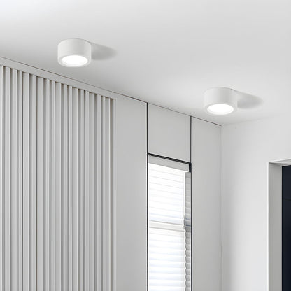 Modern Minimalist Overhead Light Fixture
