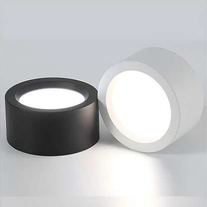 Modern Minimalist Overhead Light Fixture