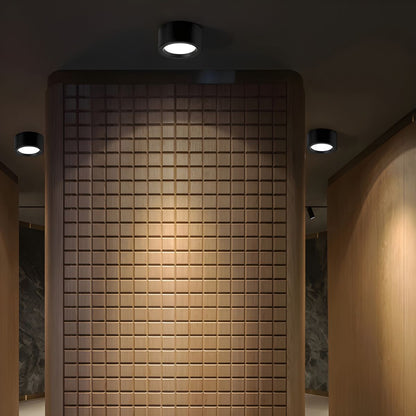 Modern Minimalist Overhead Light Fixture