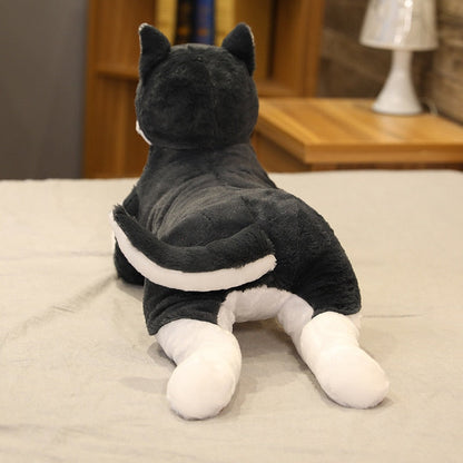 Life-size husky puppy stuffed toy 3