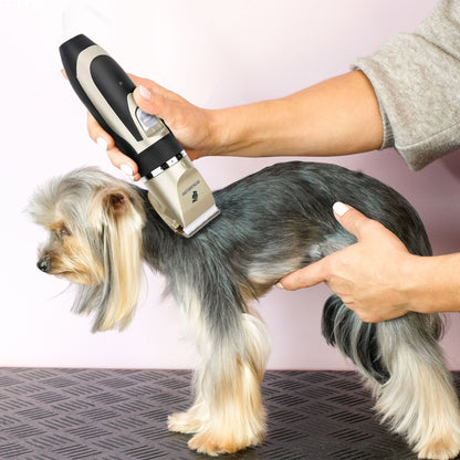 Pet Grooming Fur Care Brush Kit