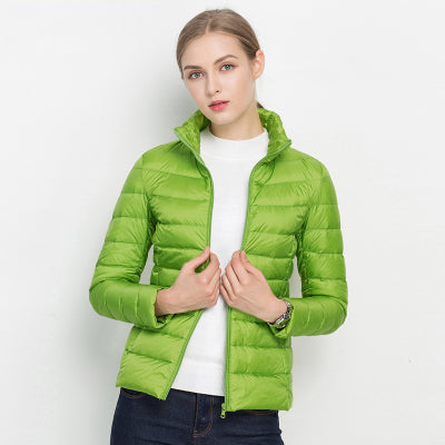 Waterproof Insulated Down Parka Coat for Men