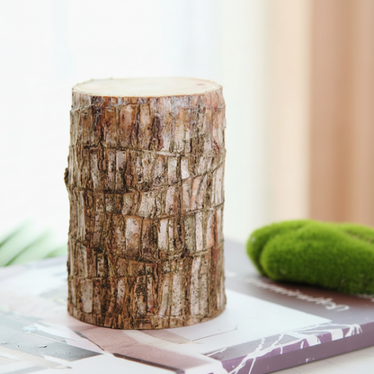 Natural Bamboo Plant in Ceramic Planter Air Freshener