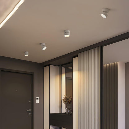 Lumary | Timeless (2 Pack) Surface Ceiling Lamp for Modern Interiors 4