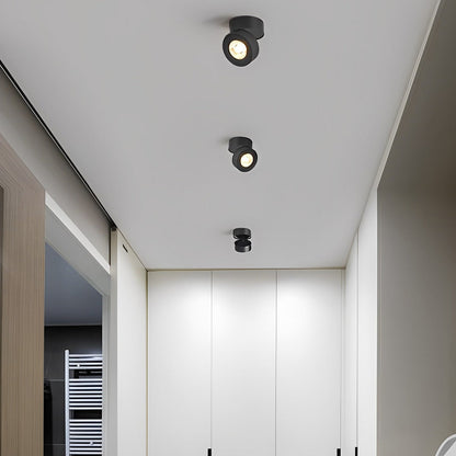 Modern Adjustable Ceiling Lamp