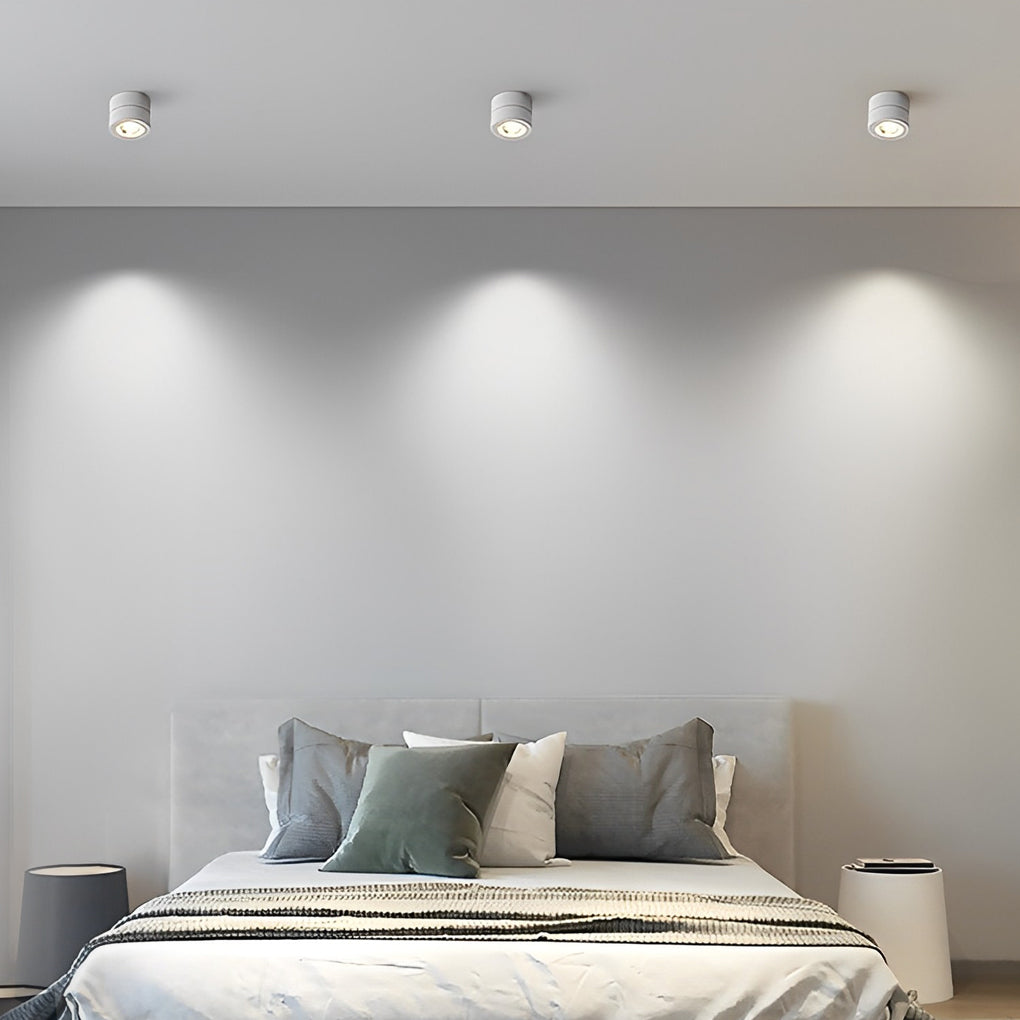 Modern Adjustable Ceiling Lamp