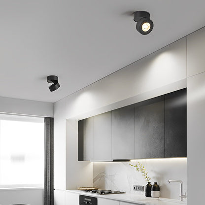 Modern Adjustable Ceiling Lamp