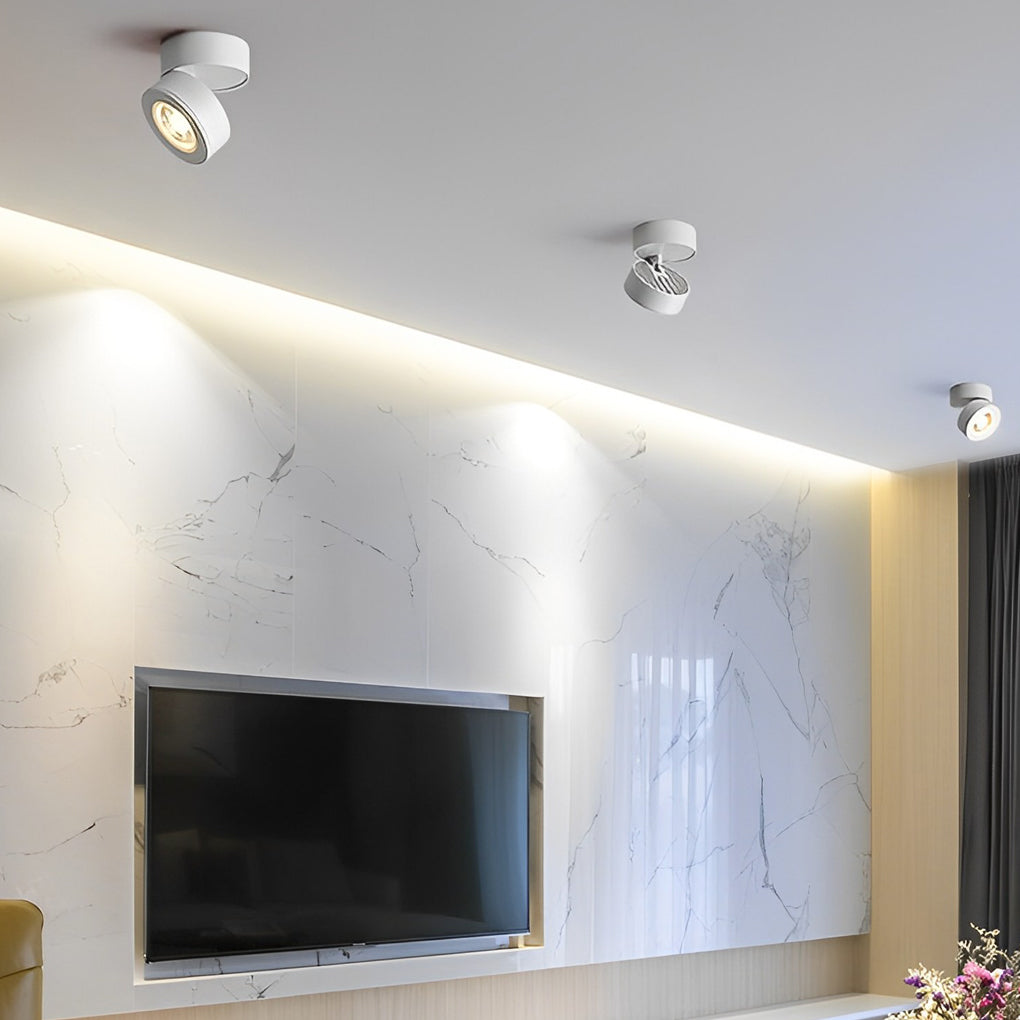 Modern Adjustable Ceiling Lamp