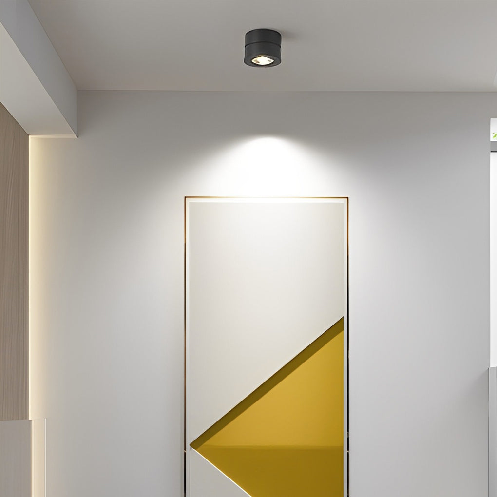 Modern Adjustable Ceiling Lamp