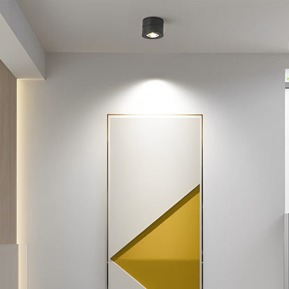 Modern Adjustable Ceiling Lamp