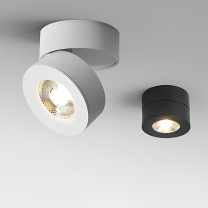 Modern Adjustable Ceiling Lamp