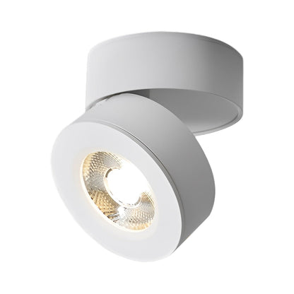 Modern Adjustable Ceiling Lamp