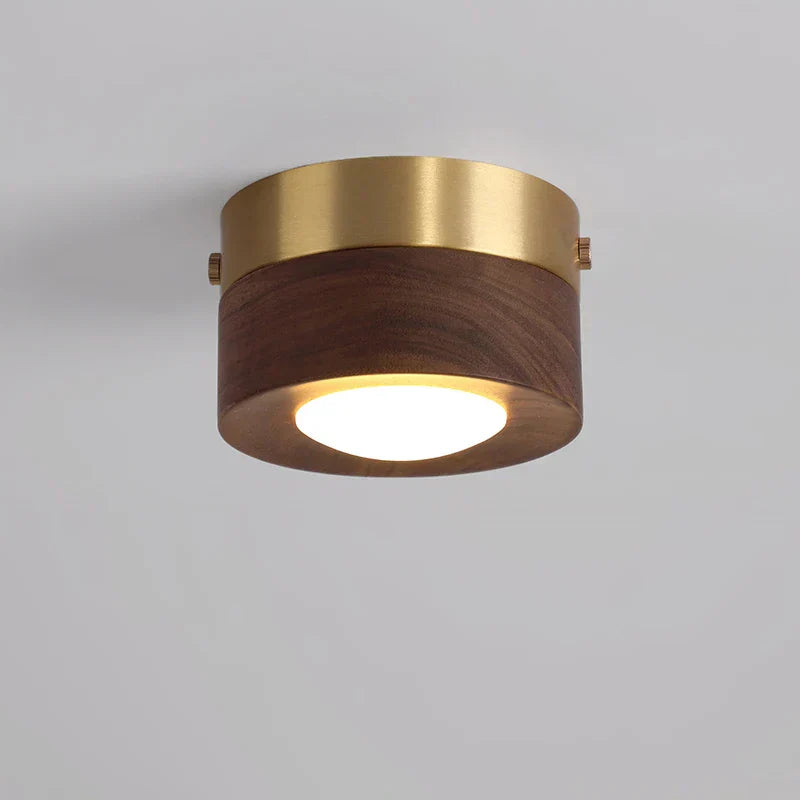 Simple LED Ceiling Lamp for Modern Homes