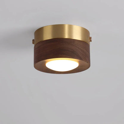 Simple LED Ceiling Lamp for Modern Homes