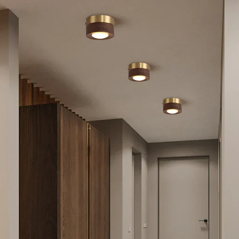 Simple LED Ceiling Lamp for Modern Homes