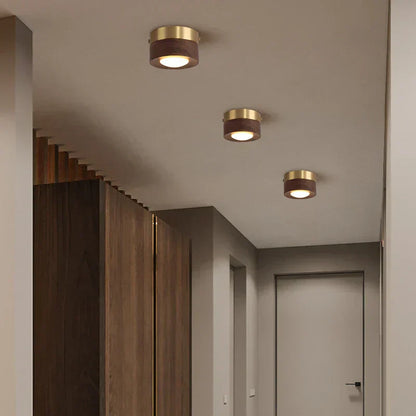 Simple LED Ceiling Lamp for Modern Homes