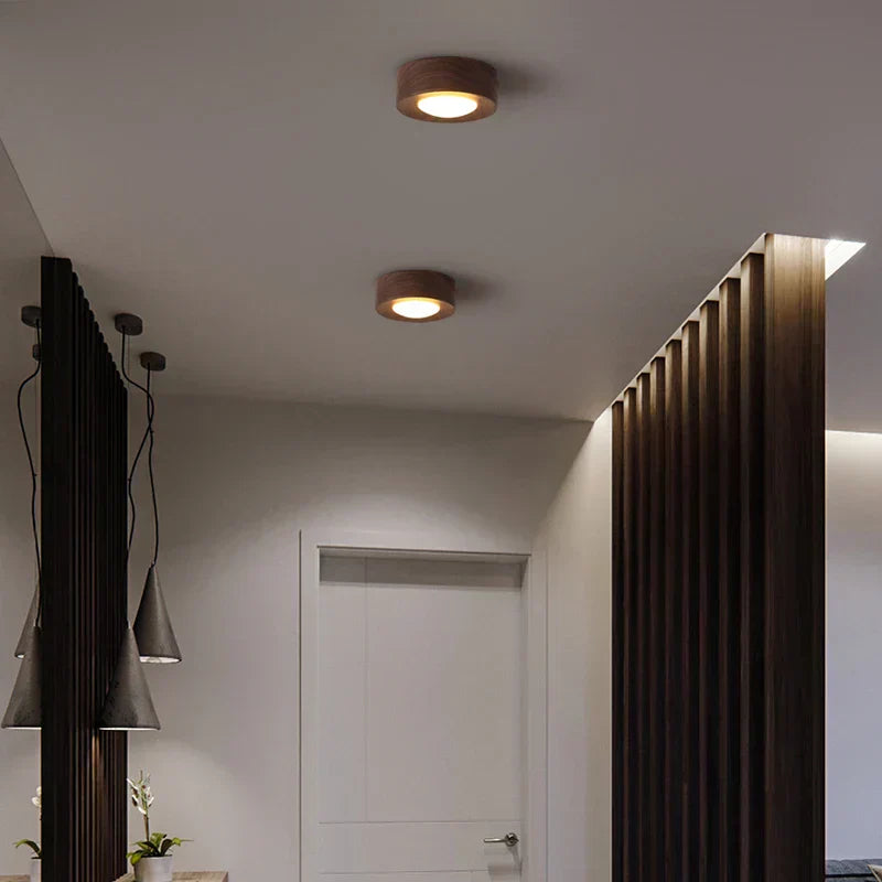 Simple LED Ceiling Lamp for Modern Homes