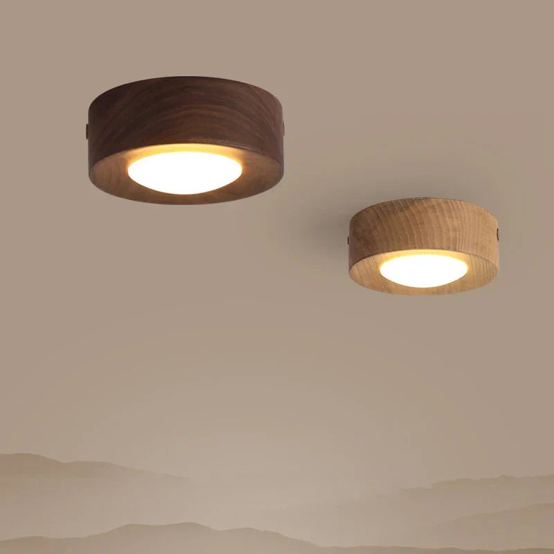 Simple LED Ceiling Lamp for Modern Homes