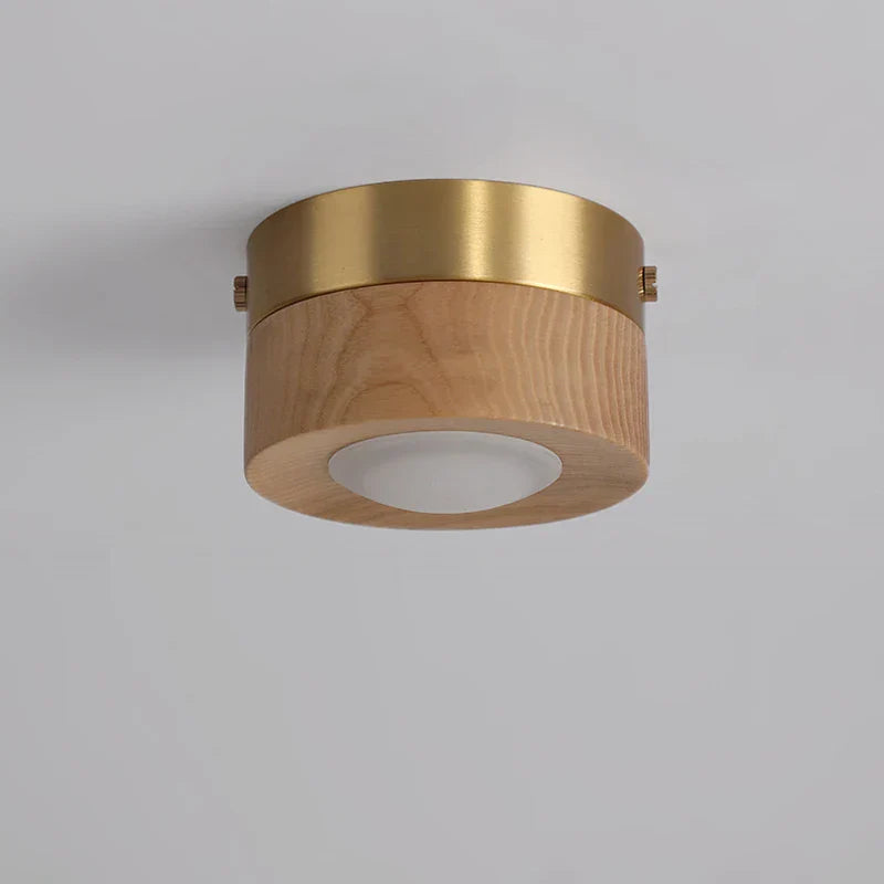 Simple LED Ceiling Lamp for Modern Homes