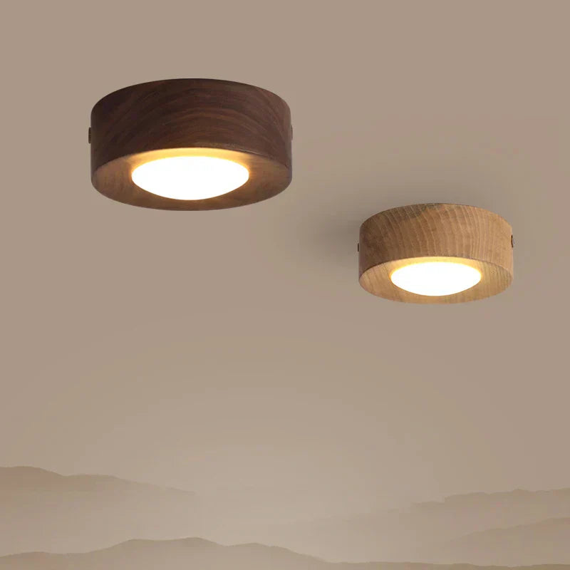 Simple LED Ceiling Lamp for Modern Homes - Lusomart