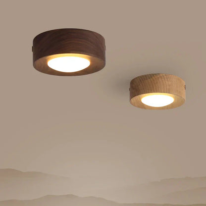 Simple LED Ceiling Lamp for Modern Homes - Lusomart