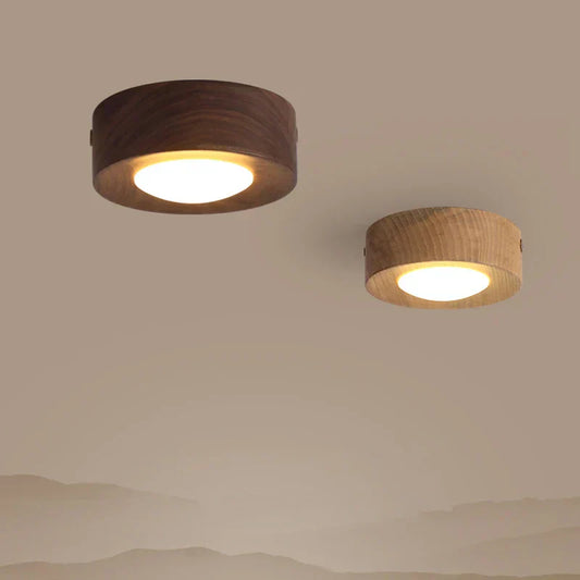 Simple LED Ceiling Lamp for Modern Homes - Lusomart