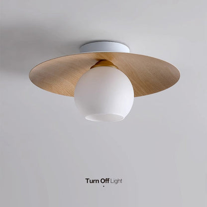 Luminara | Elegant Modern Iron And Glass Flush Mount Ceiling Light 5