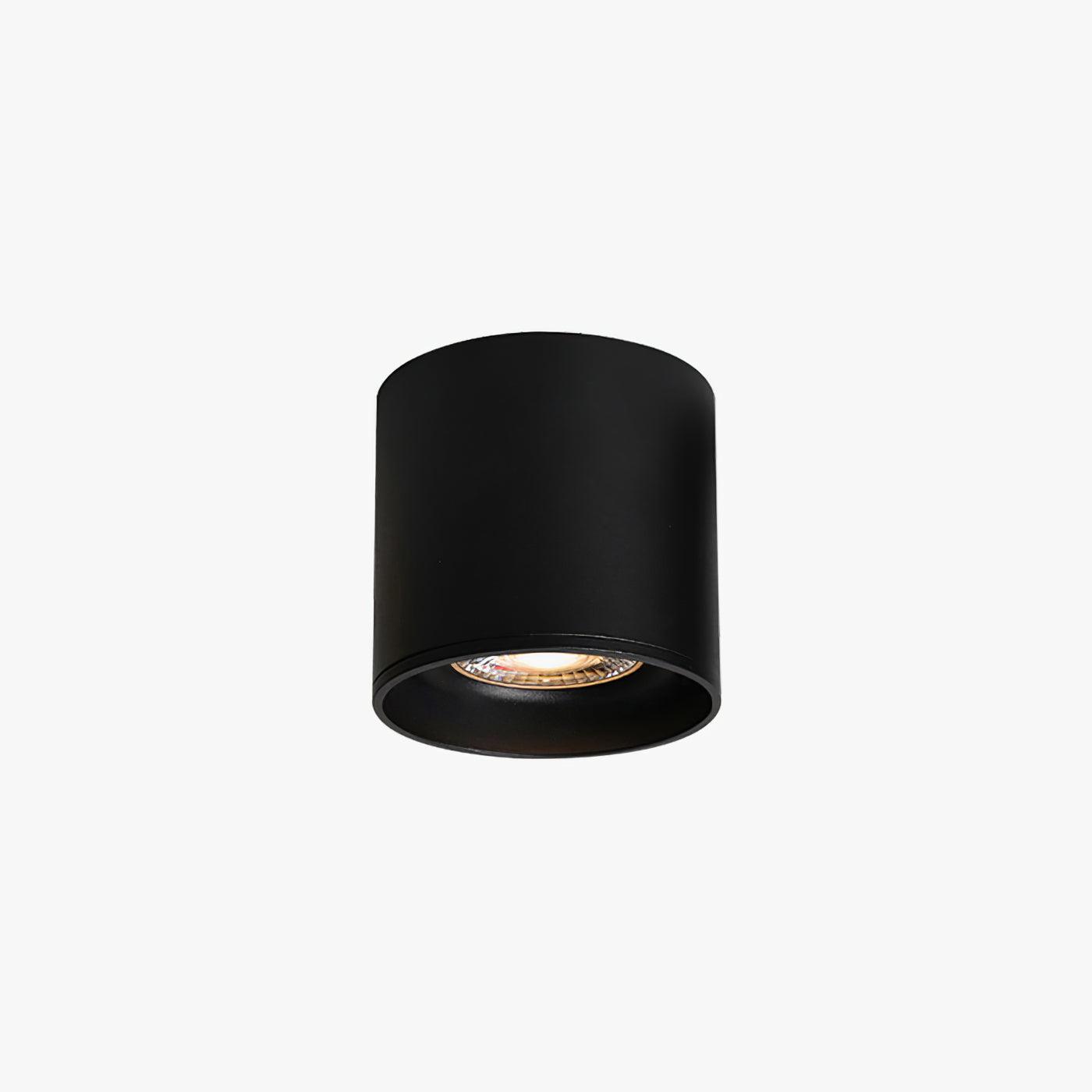 Luminara | Modern Minimalist LED Flush Mount Ceiling Light Fixture 1