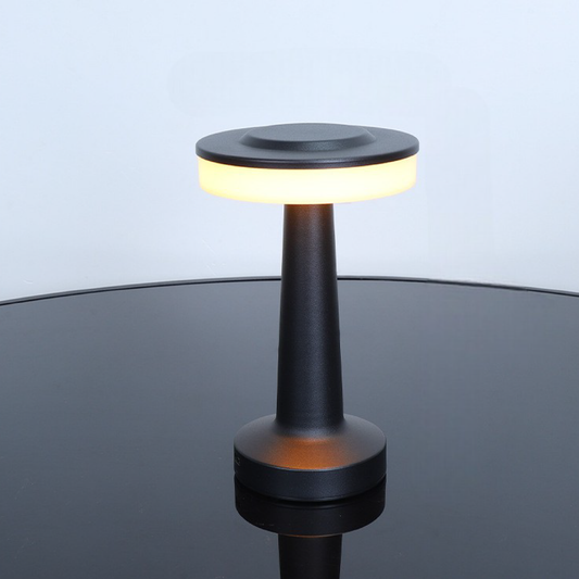 Slim Contemporary Metal USB Desk Lamp - Lusomart