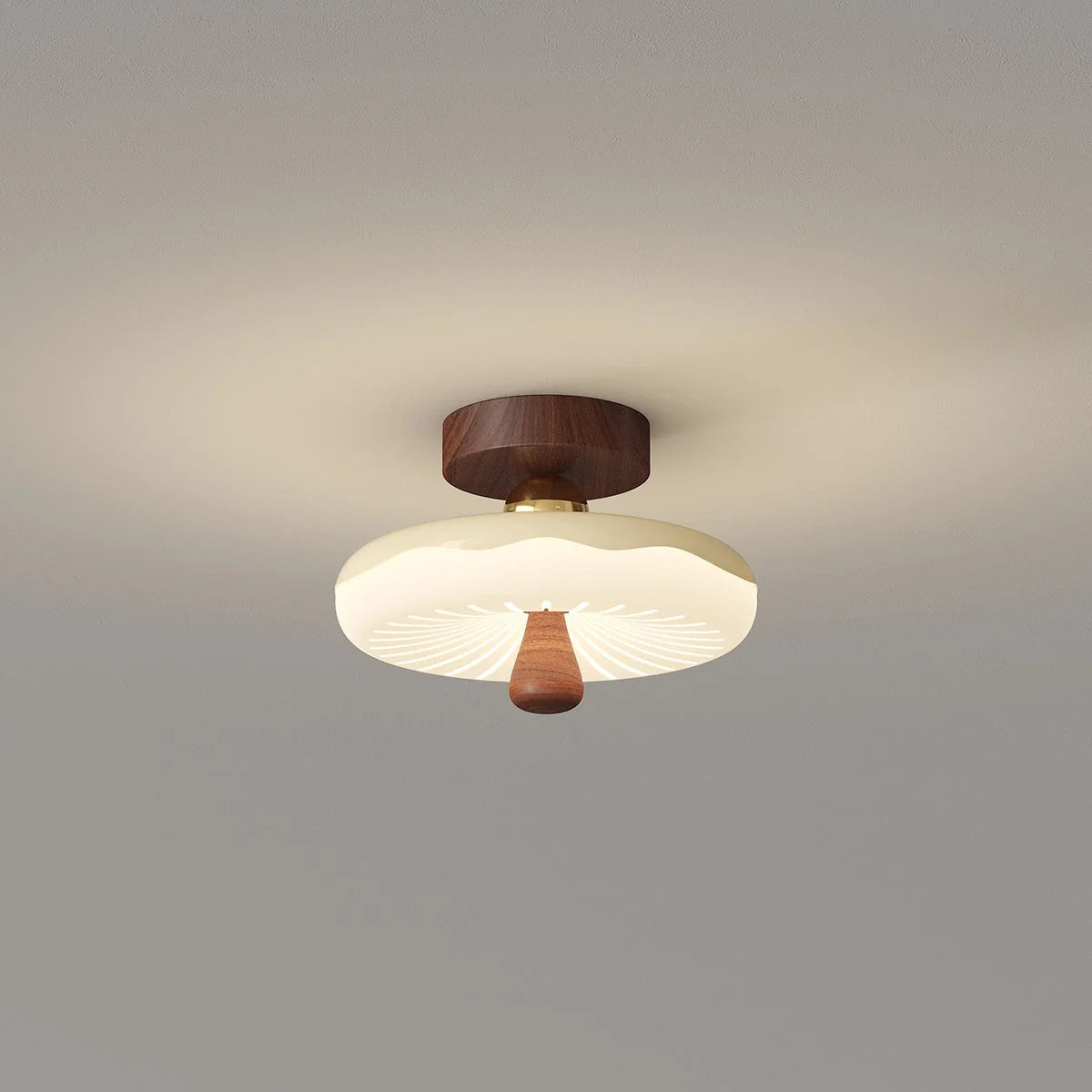 Luminara | Stylish Vintage Modern Ceiling Lamp for Cozy Spaces 9