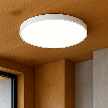 Lumion | Sophisticated Ultra-Thin Ceiling Lamp for Modern Interiors 3