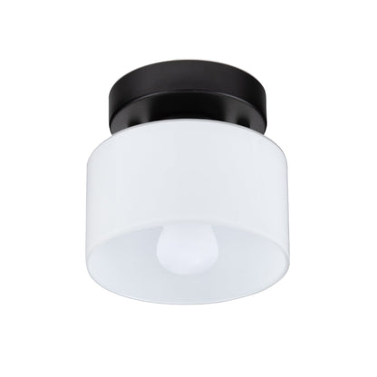 Lumosphere | Charming Retro Glass Flush Mount Ceiling Light Fixture 10
