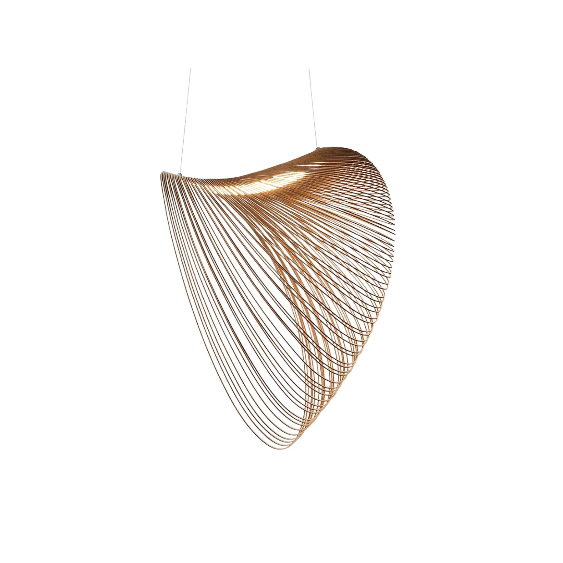 Contemporary Curved Hanging Light Fixture - Lusomart