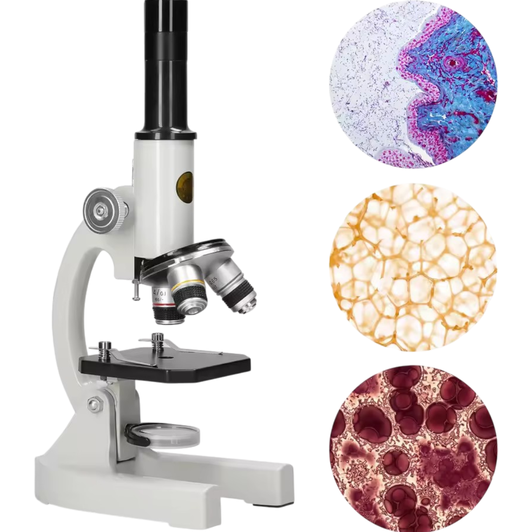 Kid's Beginner Microscope for Home Learning - Lusomart