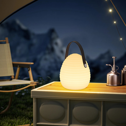 Multicolor LED Pendant Light