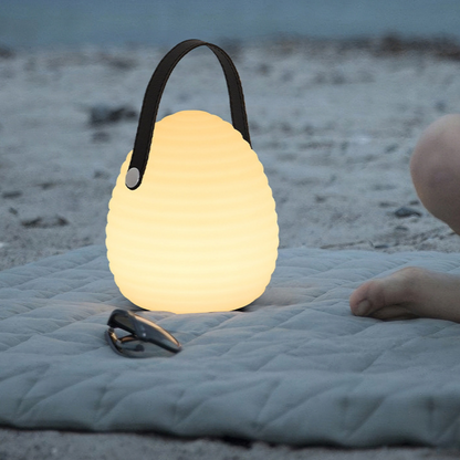 Multicolor LED Pendant Light