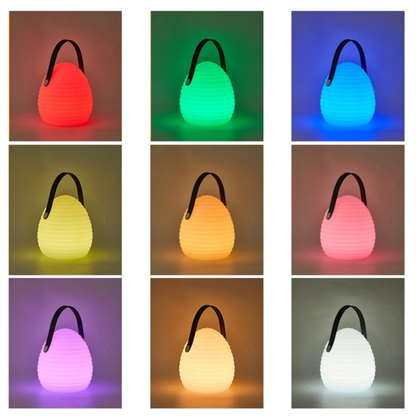 Multicolor LED Pendant Light