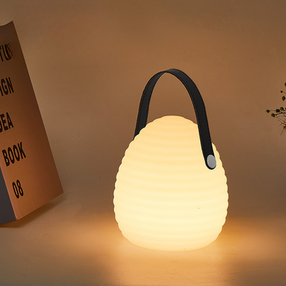 Multicolor LED Pendant Light