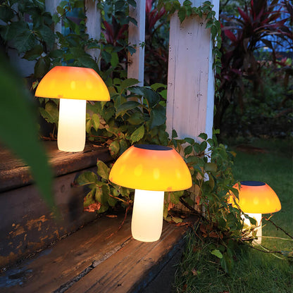 Colorful Outdoor Solar Powered Garden Lamps