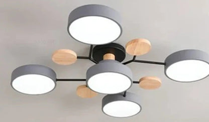Stylish Slim LED Ceiling Light Fixture Indoor